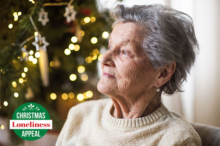 Friends of the Elderly Ireland Christmas Appeal
